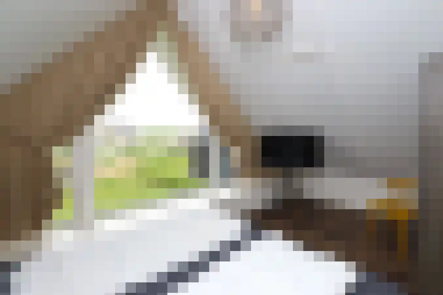 Duinigermeerweg 1 R 31 Blokzijl thumbnail 18