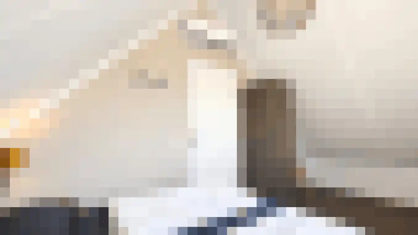 Duinigermeerweg 1 R 31 Blokzijl thumbnail 18