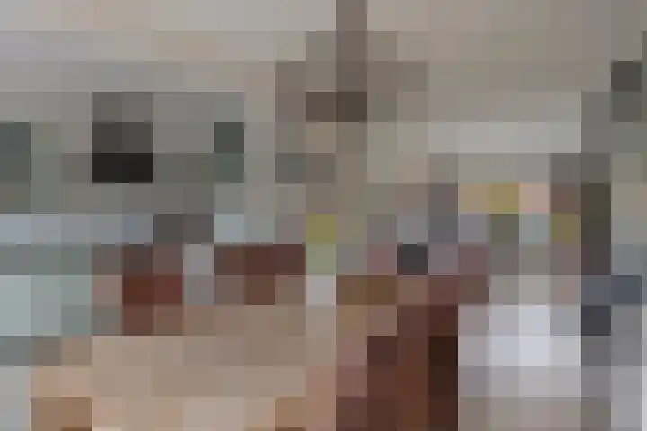 Duinigermeerweg 1 R 31 Blokzijl thumbnail 19