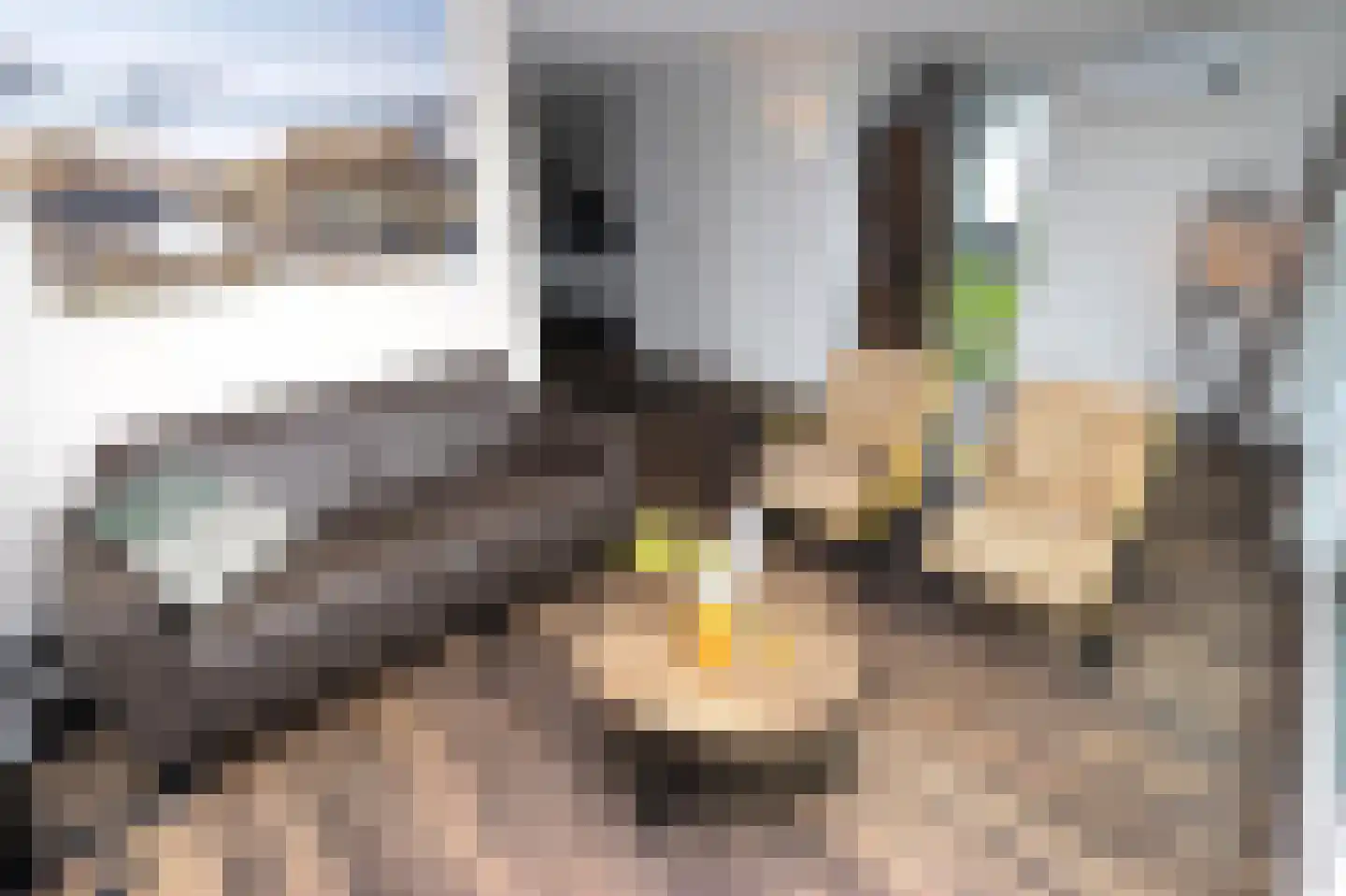 Duinigermeerweg 1 R 31 Blokzijl thumbnail 6
