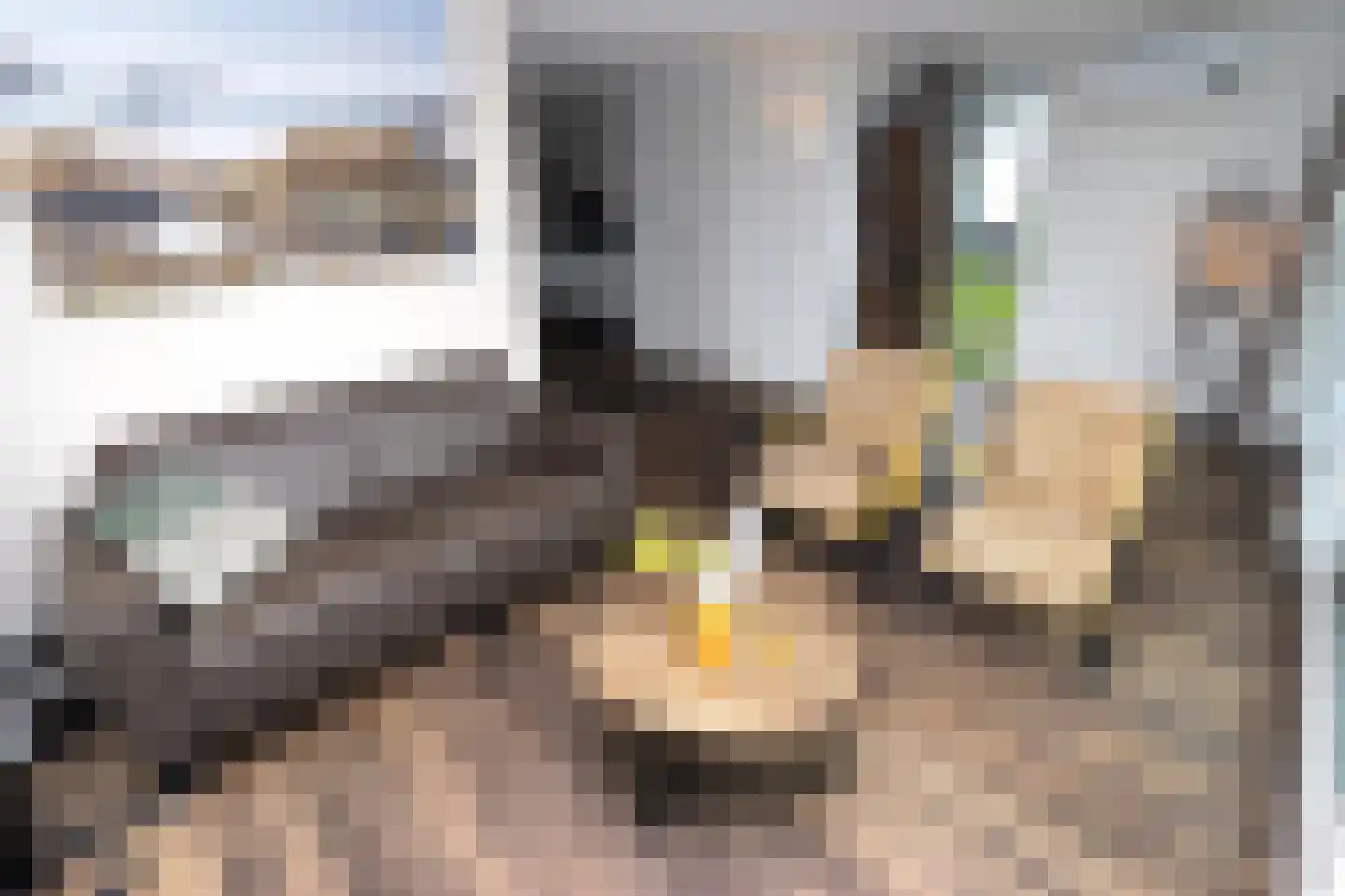 Duinigermeerweg 1 R 31 Blokzijl thumbnail 6