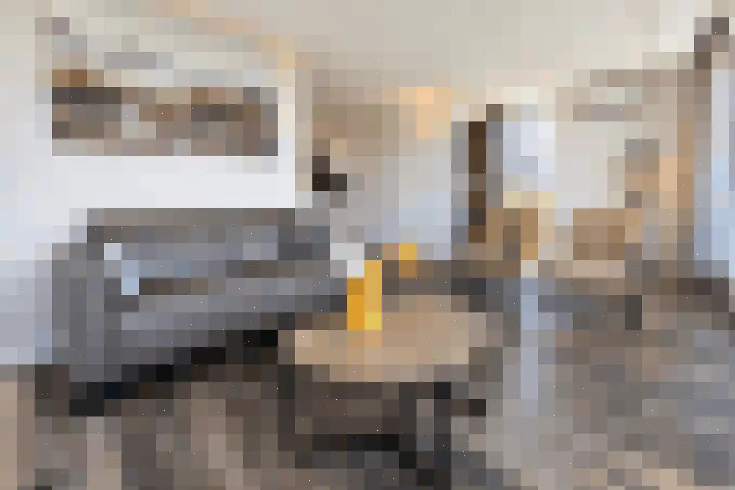 Duinigermeerweg 1 R 31 Blokzijl thumbnail 6