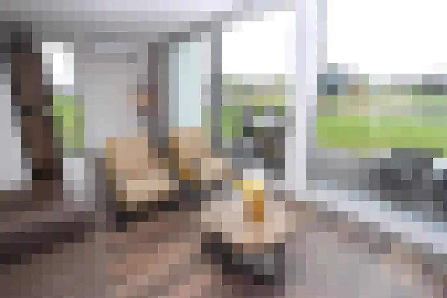 Duinigermeerweg 1 R 31 Blokzijl thumbnail 7
