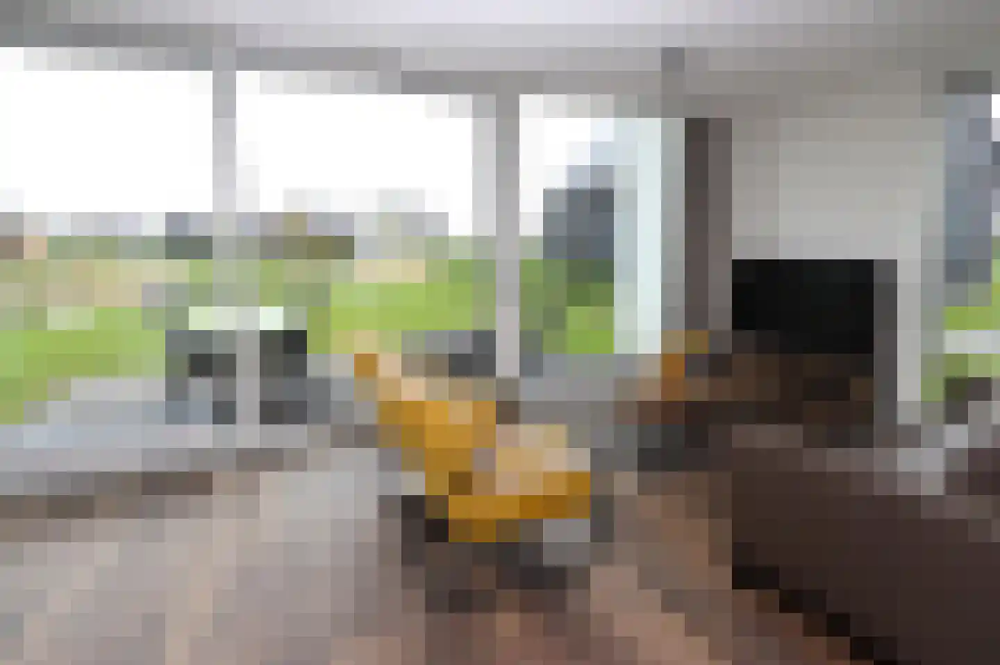 Duinigermeerweg 1 R 31 Blokzijl thumbnail 8