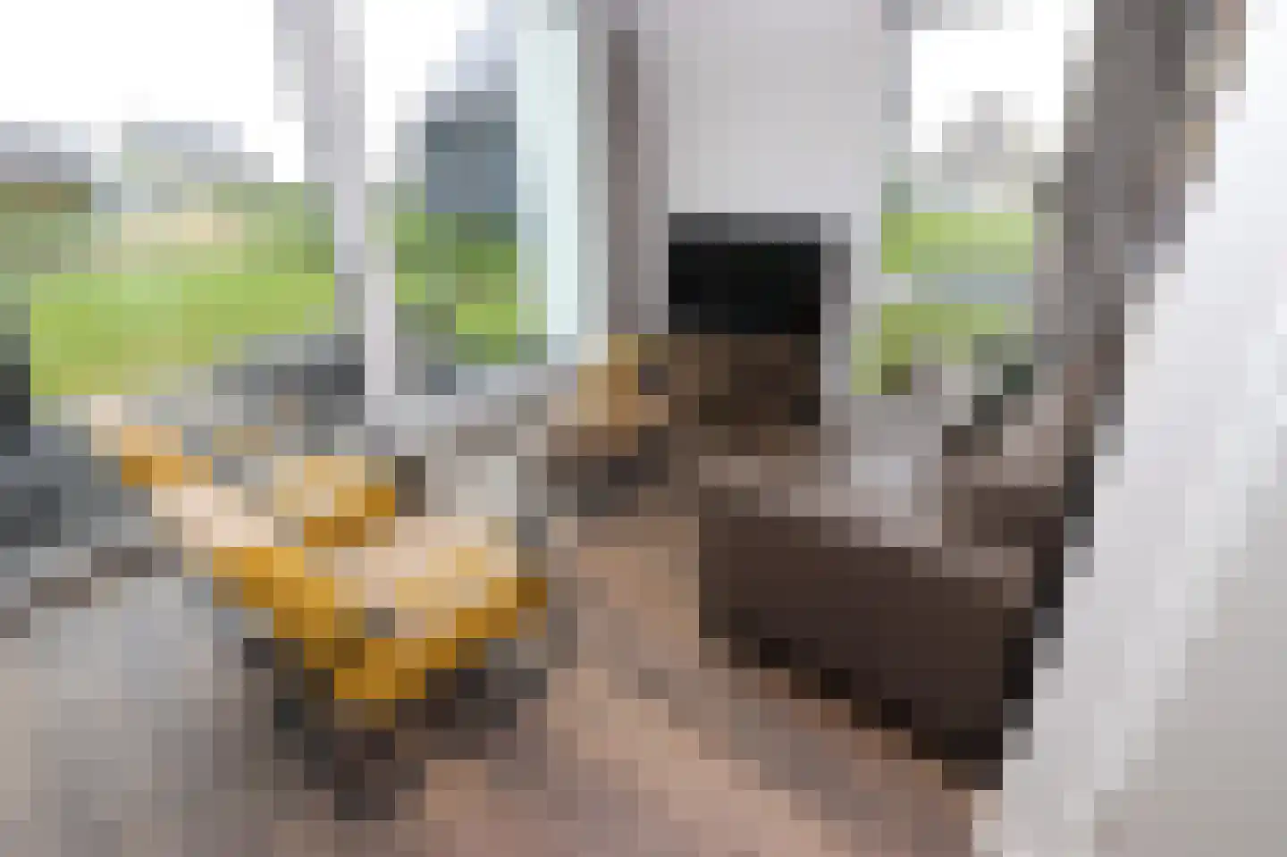 Duinigermeerweg 1 R 31 Blokzijl thumbnail 9