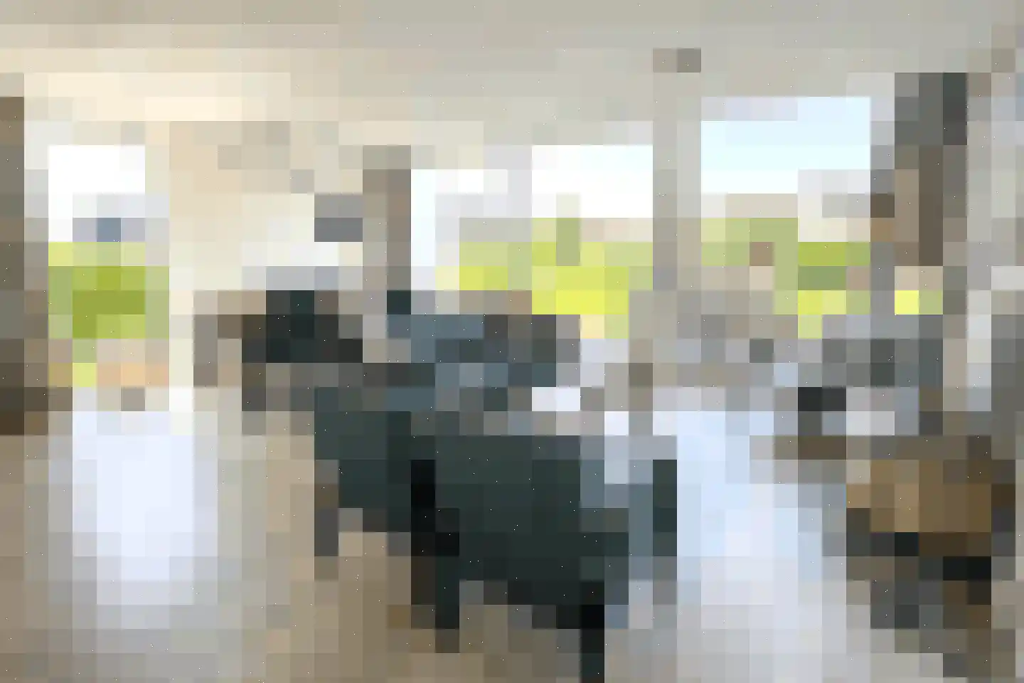 Duinigermeerweg 1 R 32 Blokzijl thumbnail 9