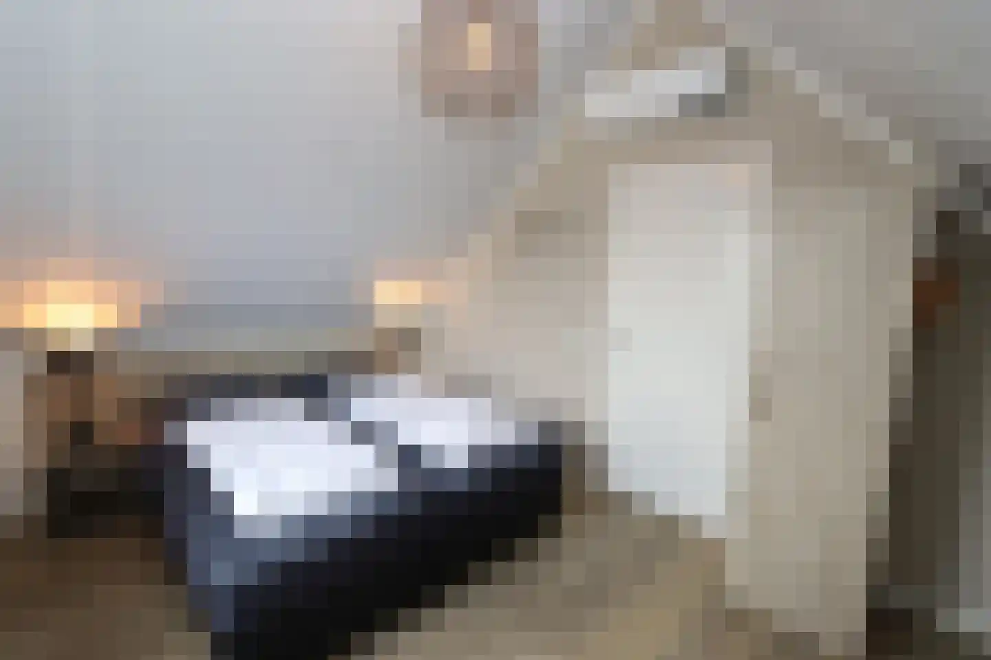 Duinigermeerweg 1 R 35 Blokzijl thumbnail 18