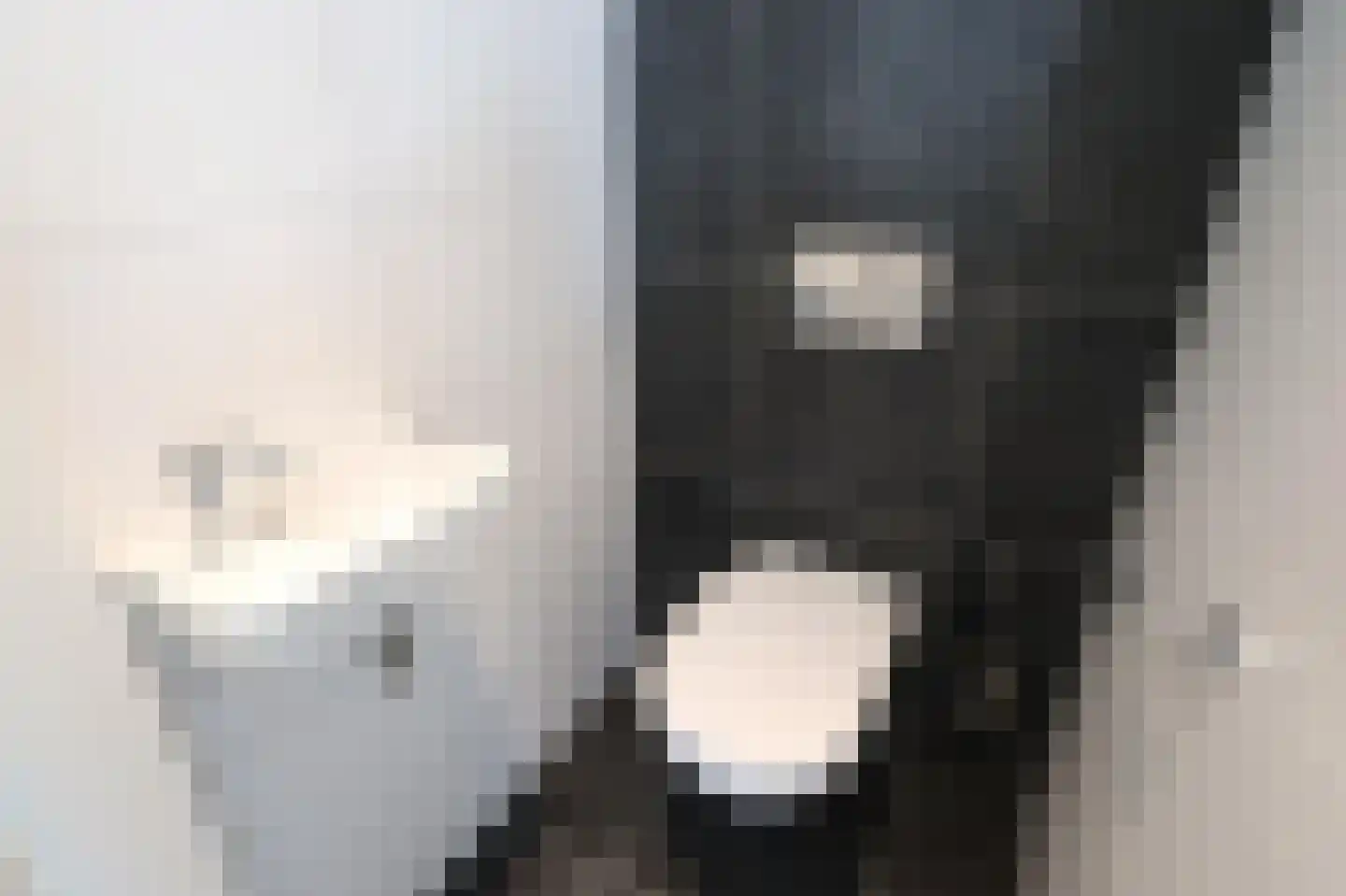 Duinigermeerweg 1 R 35 Blokzijl thumbnail 20