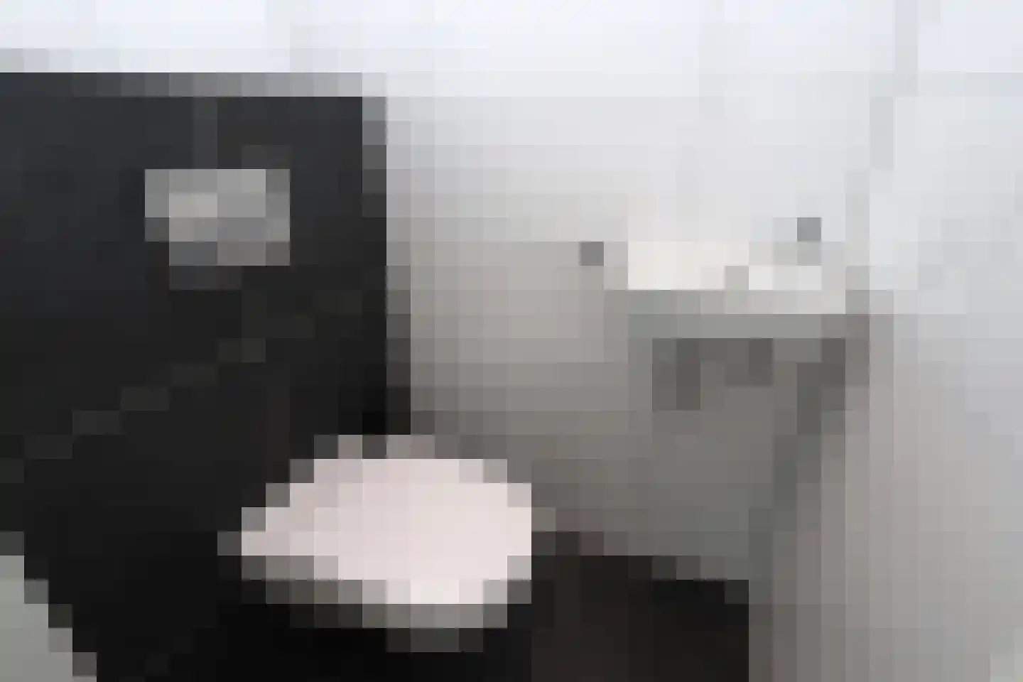 Duinigermeerweg 1 R 38 Blokzijl thumbnail 12