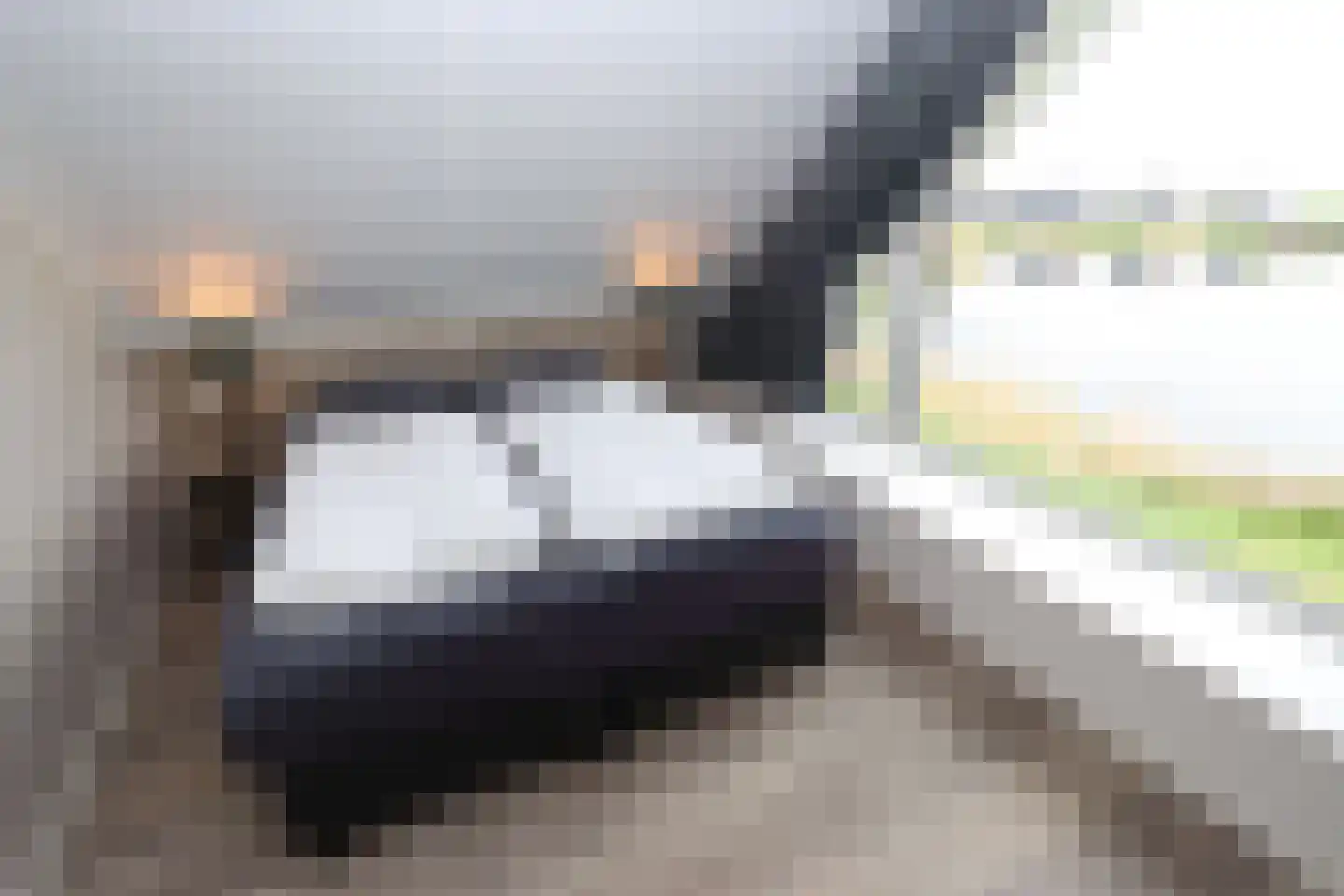 Duinigermeerweg 1 R 38 Blokzijl thumbnail 13
