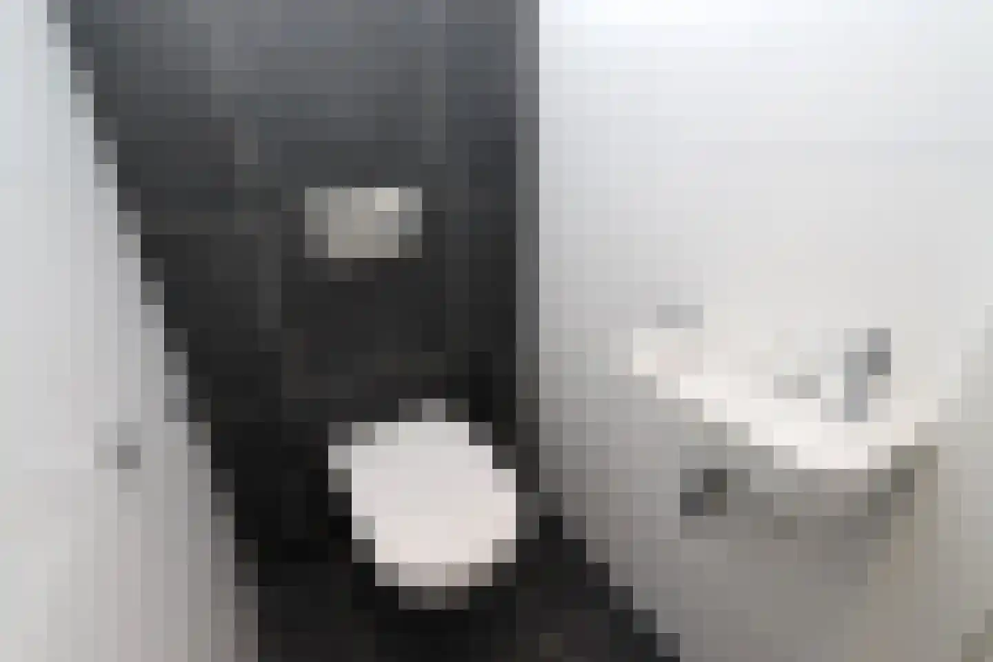 Duinigermeerweg 1 R 38 Blokzijl thumbnail 17