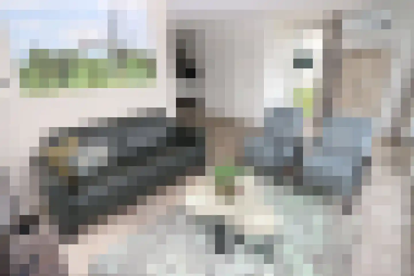 Duinigermeerweg 1 R 38 Blokzijl thumbnail 4