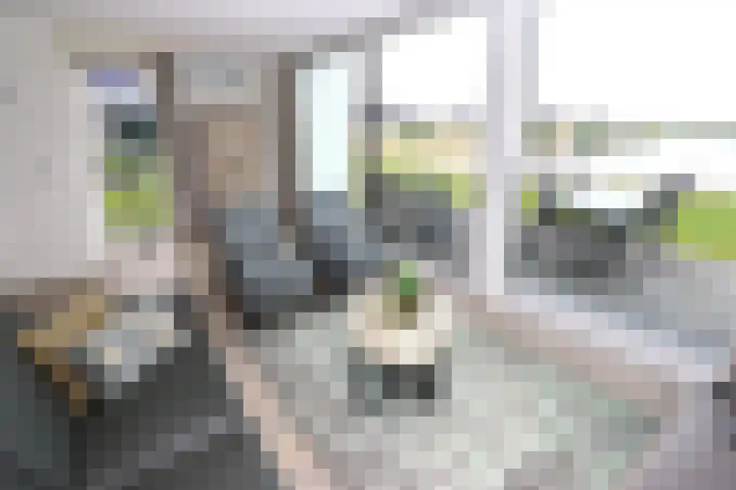 Duinigermeerweg 1 R 38 Blokzijl thumbnail 5
