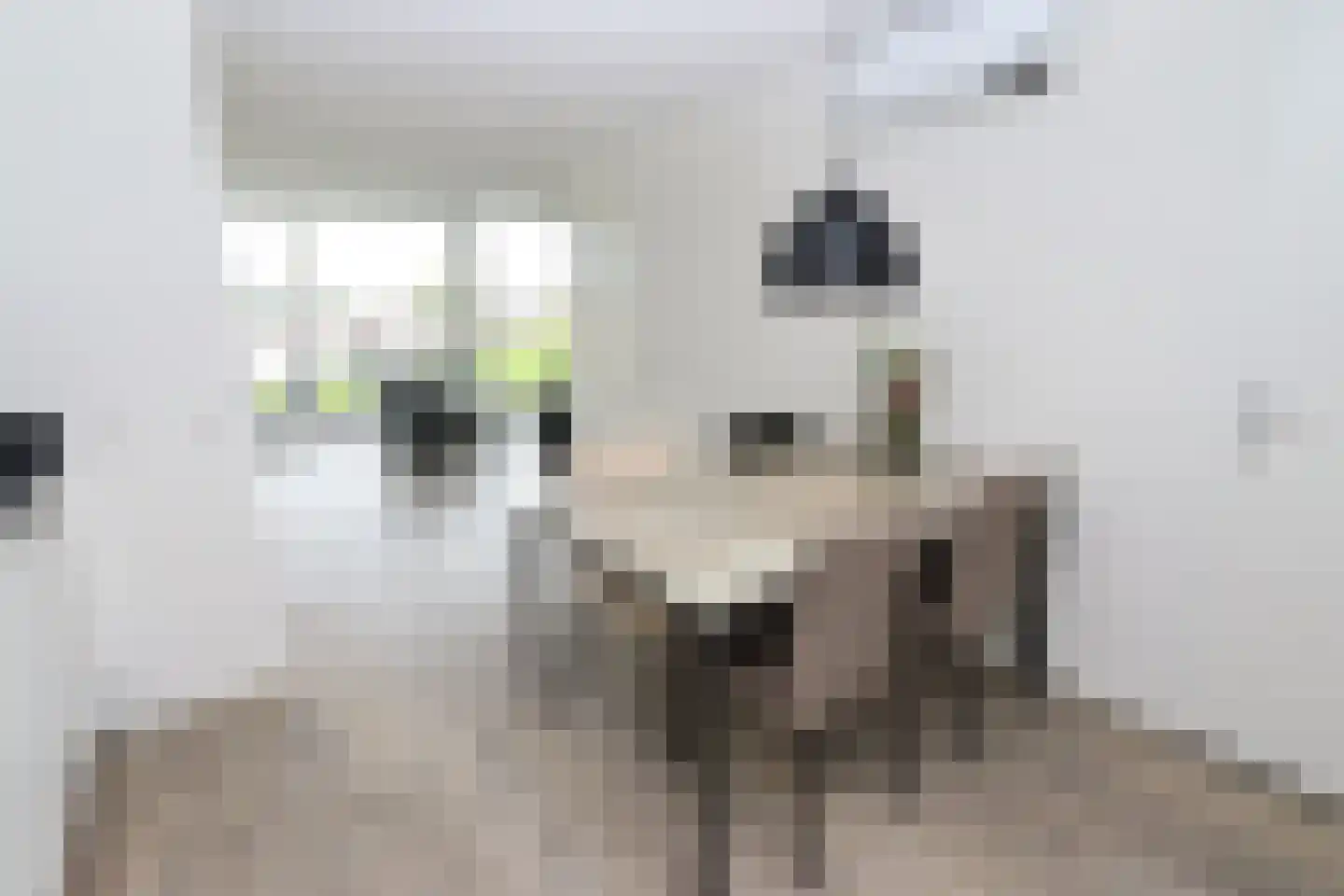 Duinigermeerweg 1 R 38 Blokzijl thumbnail 8