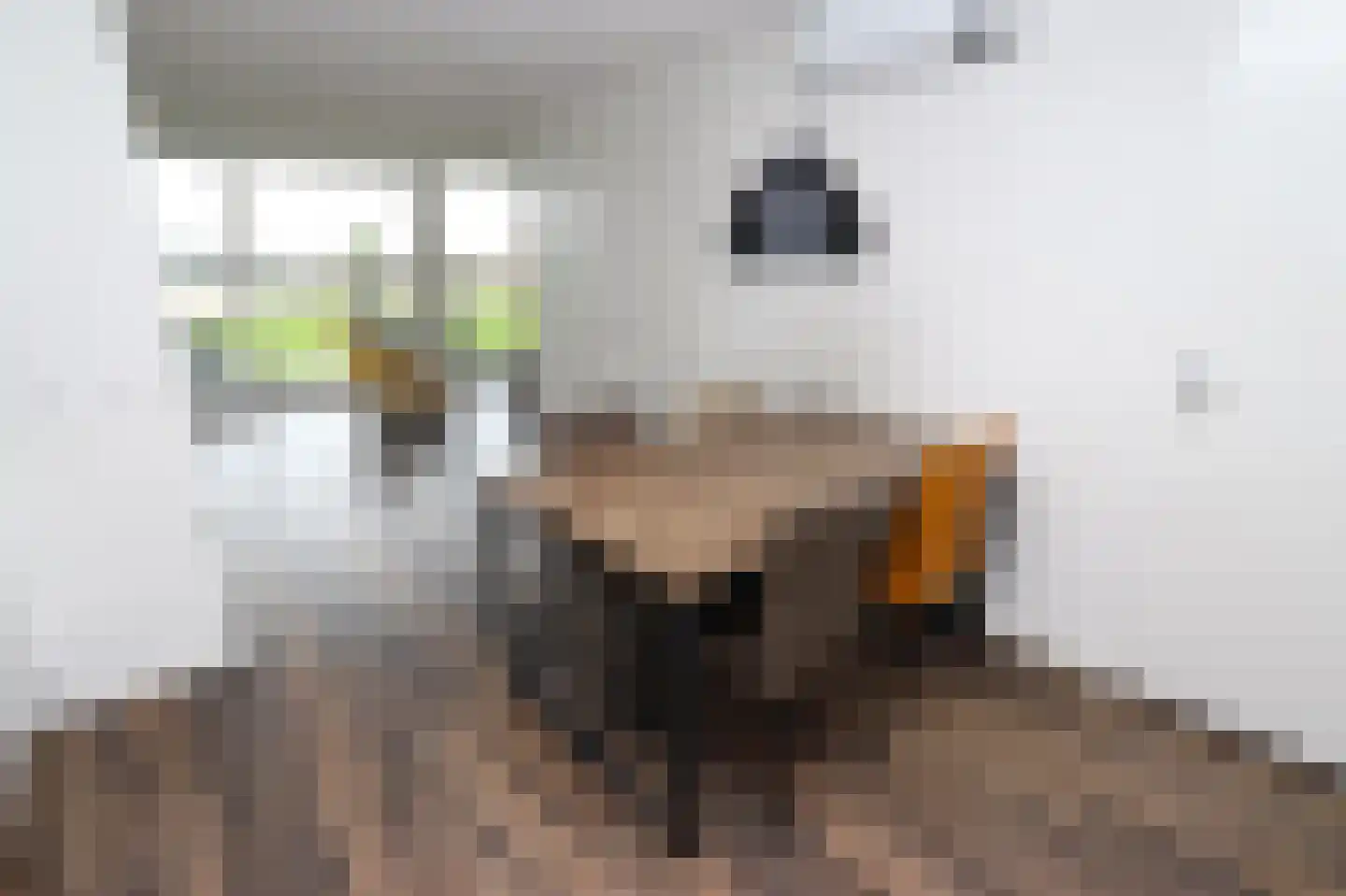 Duinigermeerweg 1 R 39 Blokzijl thumbnail 10
