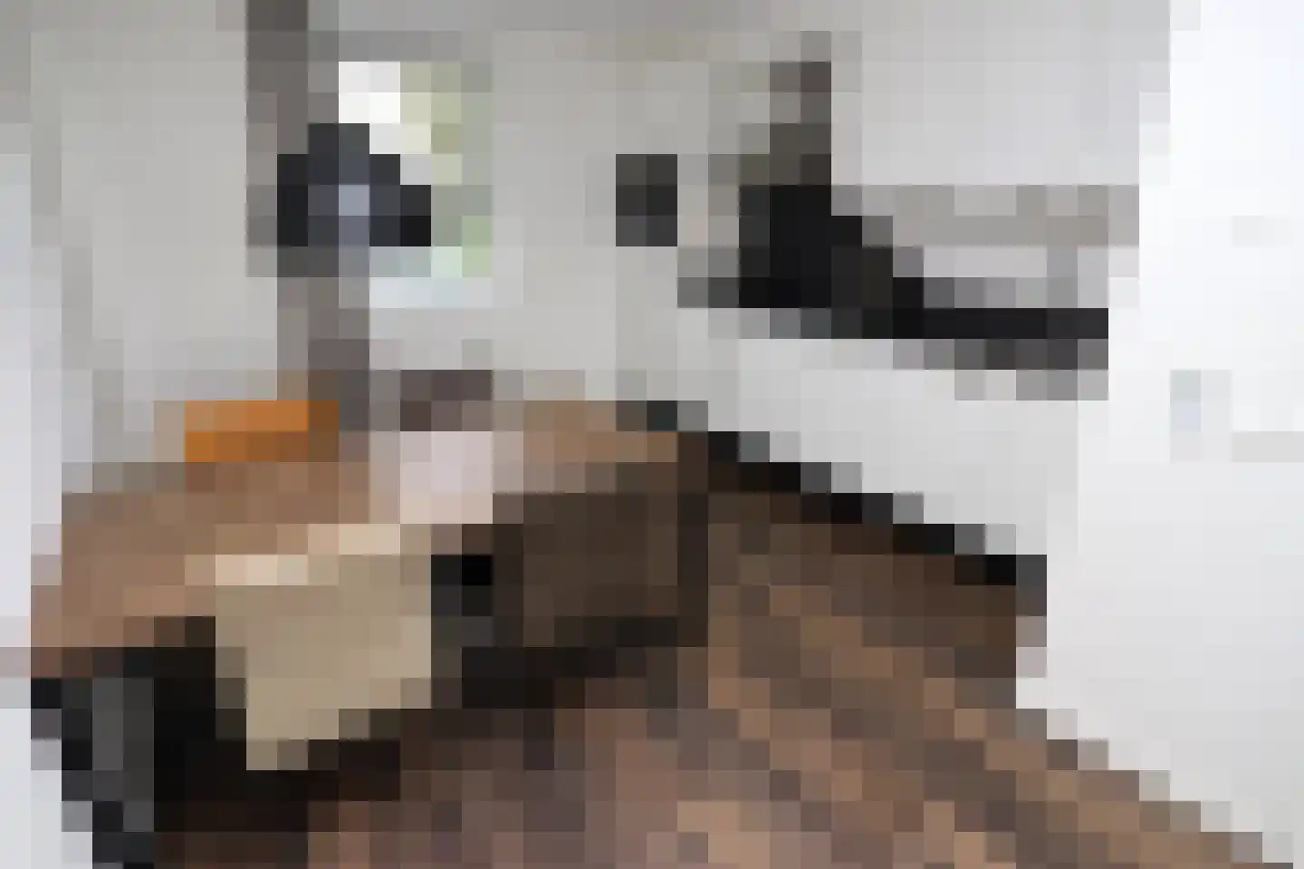 Duinigermeerweg 1 R 39 Blokzijl thumbnail 11