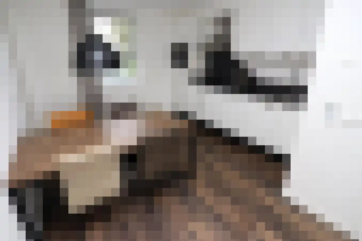 Duinigermeerweg 1 R 39 Blokzijl thumbnail 11