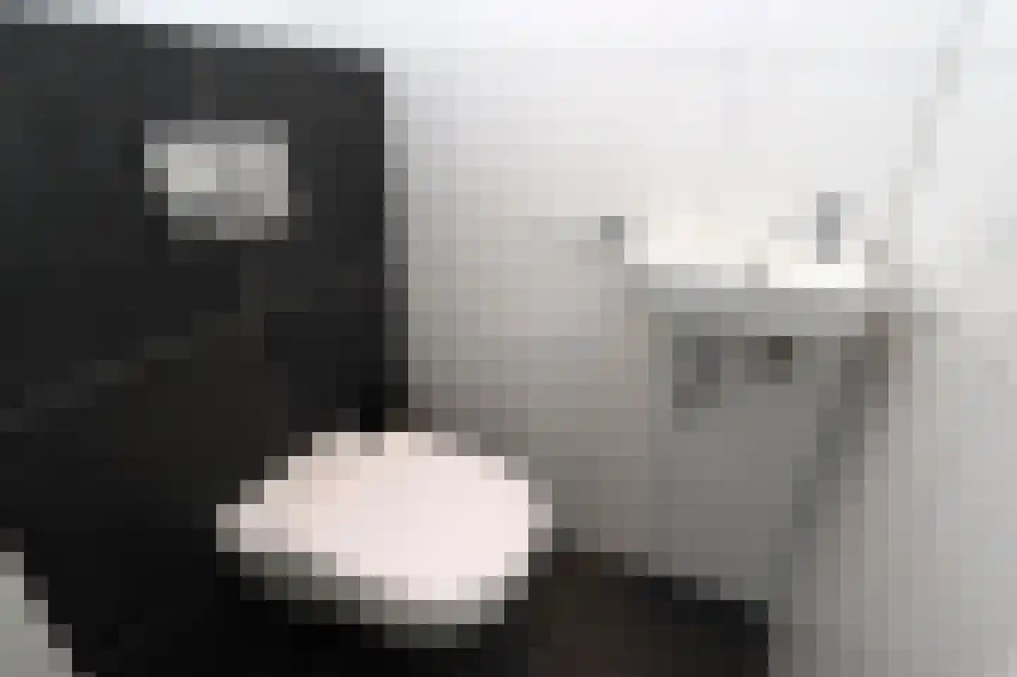 Duinigermeerweg 1 R 39 Blokzijl thumbnail 13