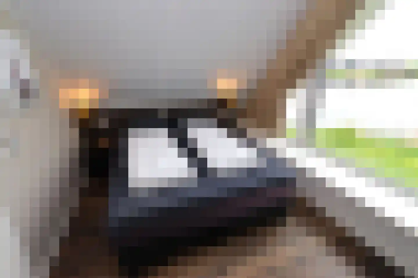 Duinigermeerweg 1 R 39 Blokzijl thumbnail 16