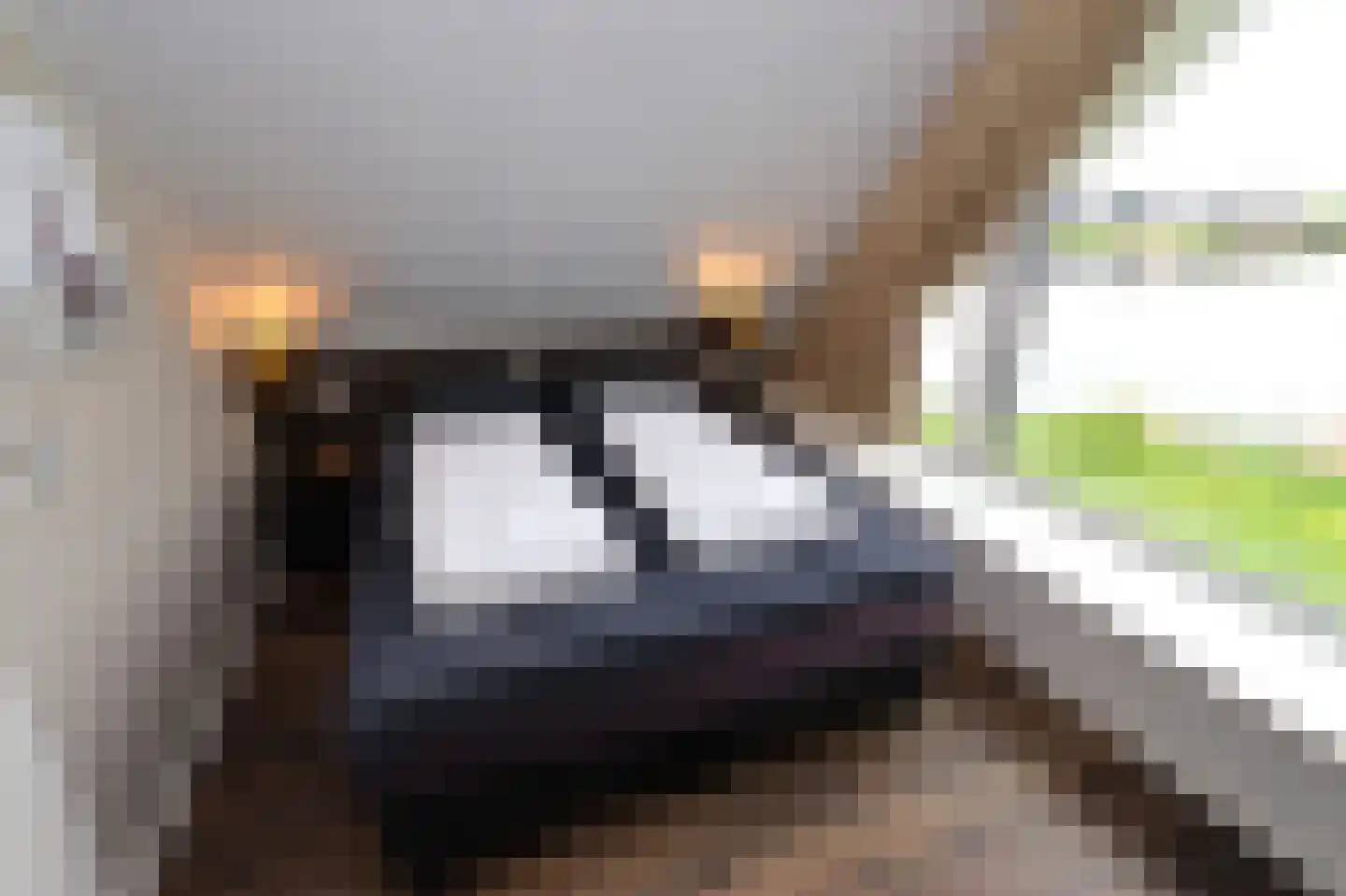 Duinigermeerweg 1 R 39 Blokzijl thumbnail 16