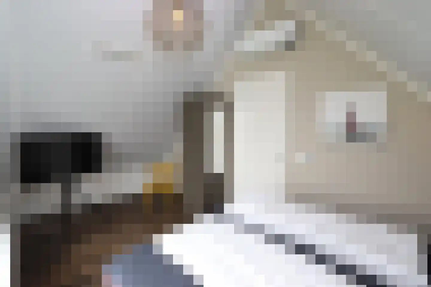 Duinigermeerweg 1 R 39 Blokzijl thumbnail 17