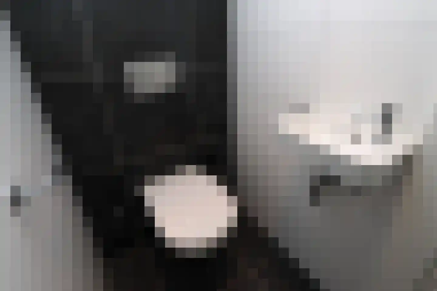 Duinigermeerweg 1 R 39 Blokzijl thumbnail 21