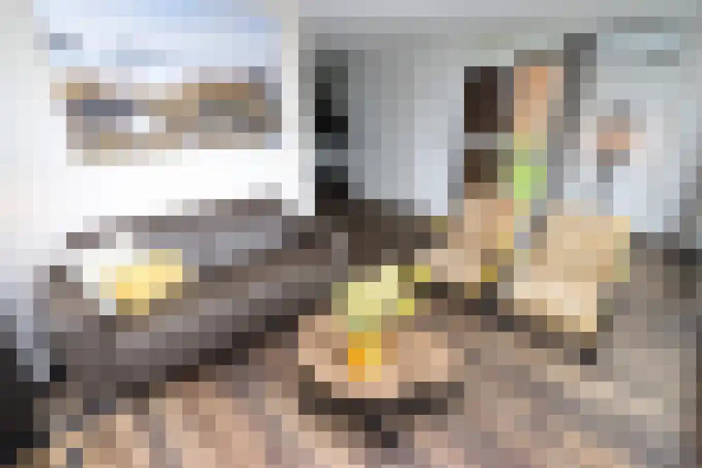 Duinigermeerweg 1 R 39 Blokzijl thumbnail 6