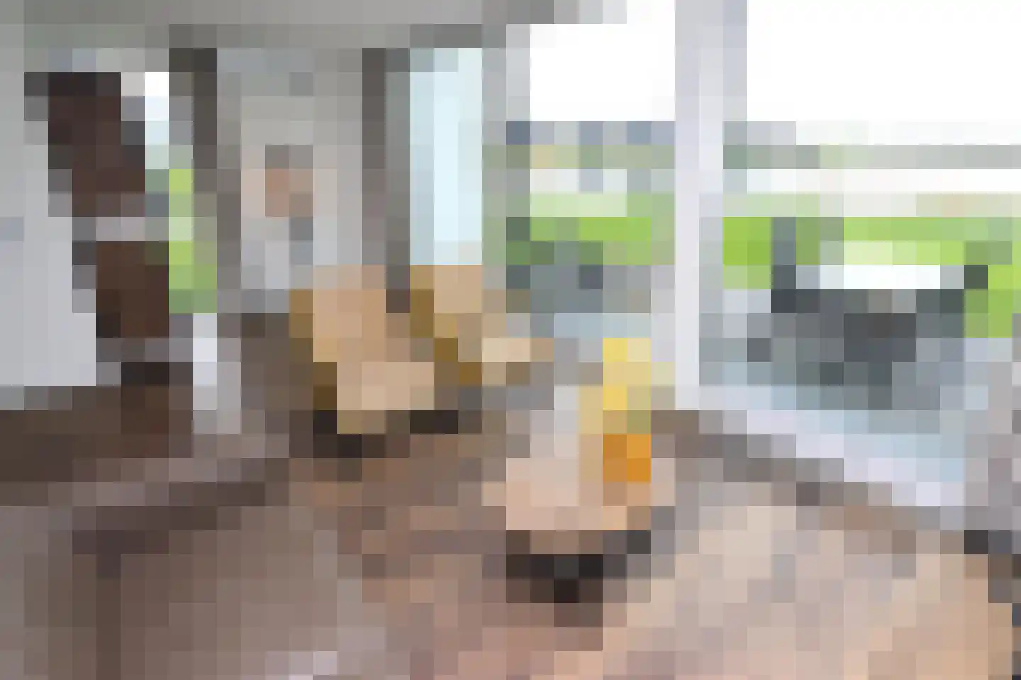 Duinigermeerweg 1 R 39 Blokzijl thumbnail 7