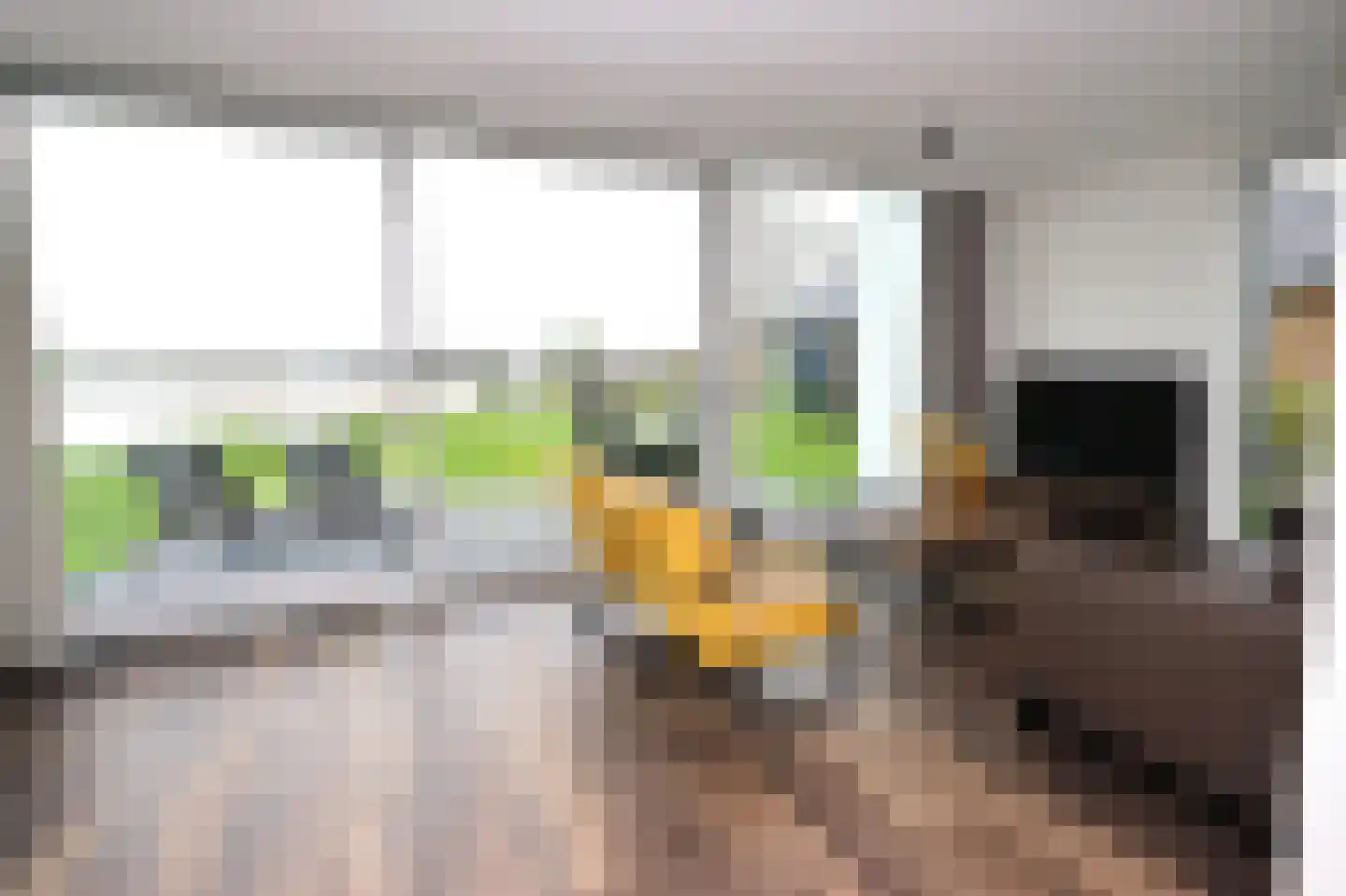 Duinigermeerweg 1 R 39 Blokzijl thumbnail 8