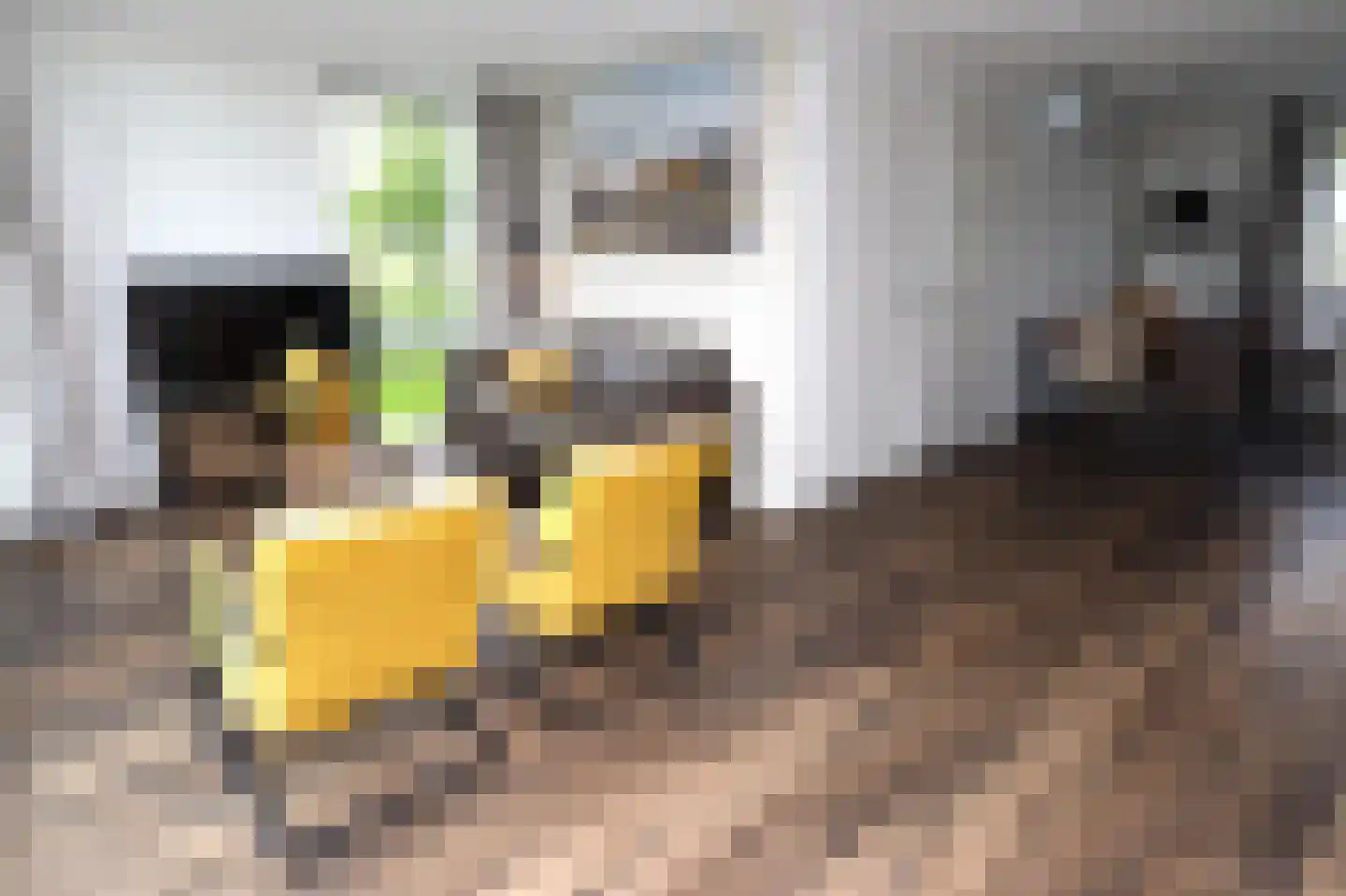 Duinigermeerweg 1 R 39 Blokzijl thumbnail 9