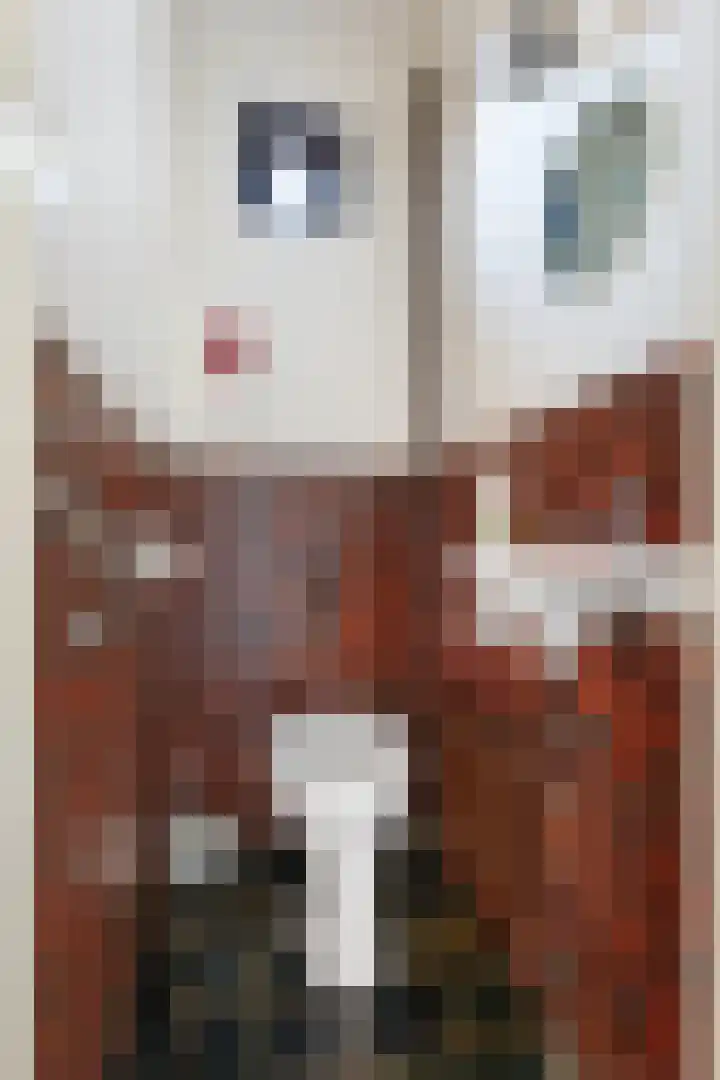 Duinkampen 1 Paterswolde thumbnail 10