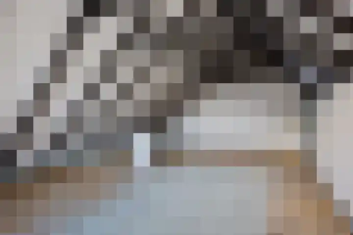 Duinkampen 1 Paterswolde thumbnail 23