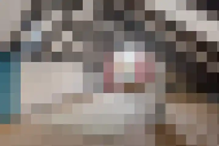 Duinkampen 1 Paterswolde thumbnail 24