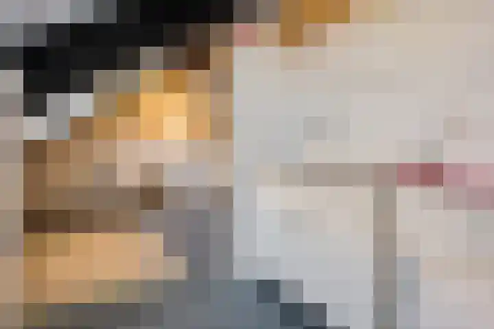 Duinkampen 1 Paterswolde thumbnail 28
