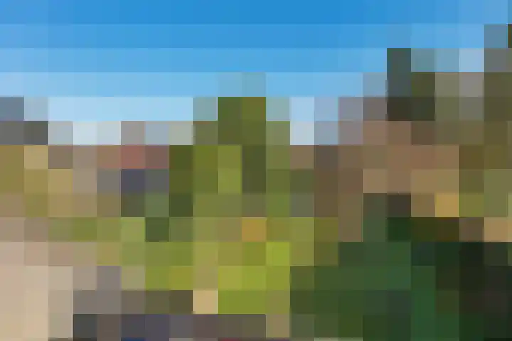 Duinkampen 1 Paterswolde thumbnail 31