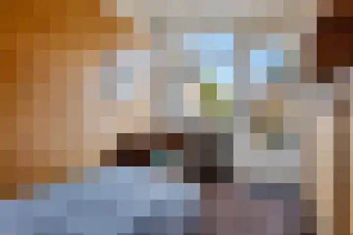 Duinkampen 1 Paterswolde thumbnail 33