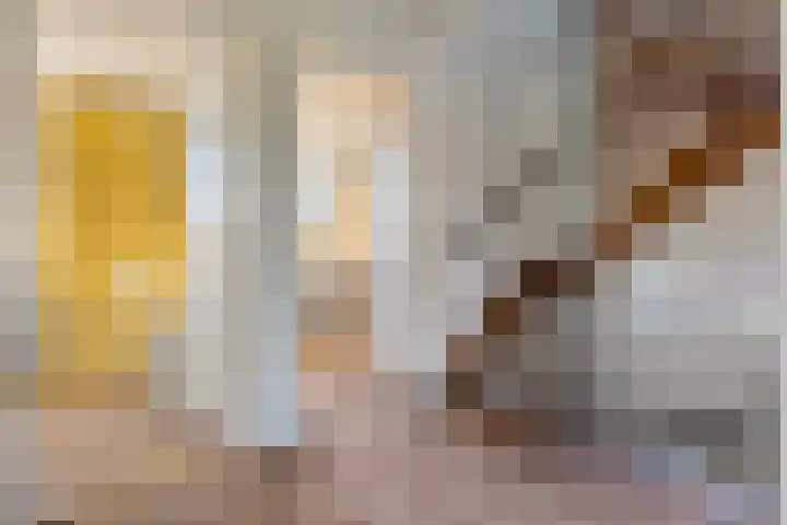 Duinkampen 1 Paterswolde thumbnail 34