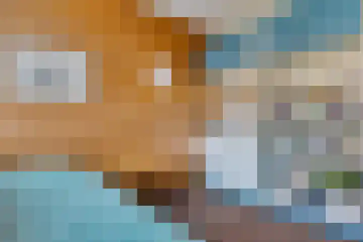 Duinkampen 1 Paterswolde thumbnail 38