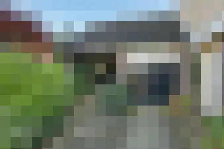 Duinkampen 1 Paterswolde thumbnail 4