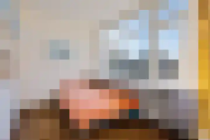 Duinkampen 1 Paterswolde thumbnail 42