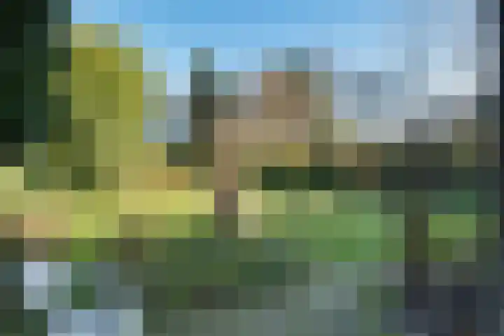 Duinkampen 1 Paterswolde thumbnail 45