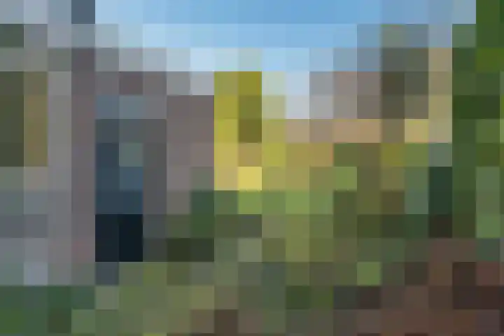 Duinkampen 1 Paterswolde thumbnail 46