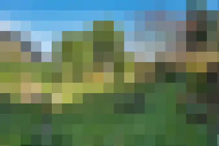 Duinkampen 1 Paterswolde thumbnail 47