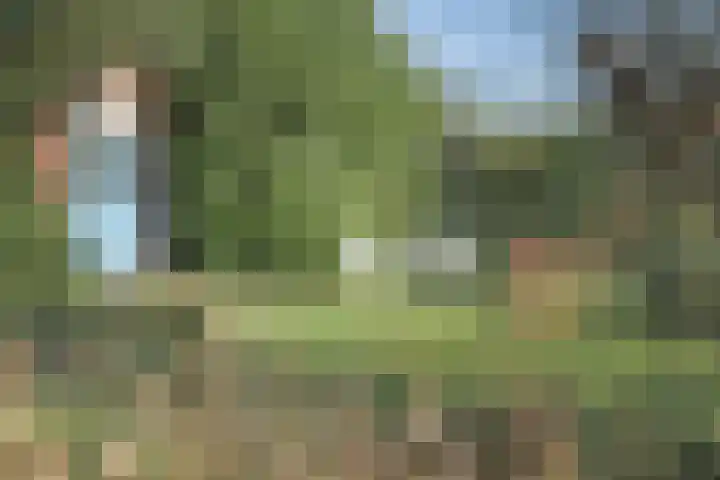 Duinkampen 1 Paterswolde thumbnail 48