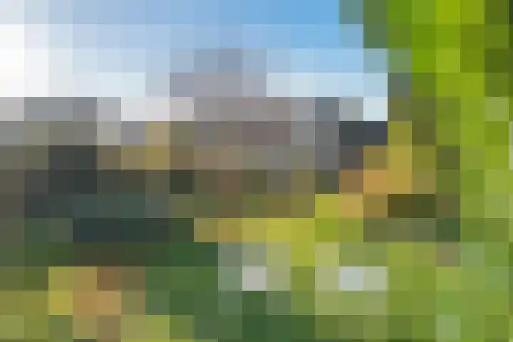 Duinkampen 1 Paterswolde thumbnail 49