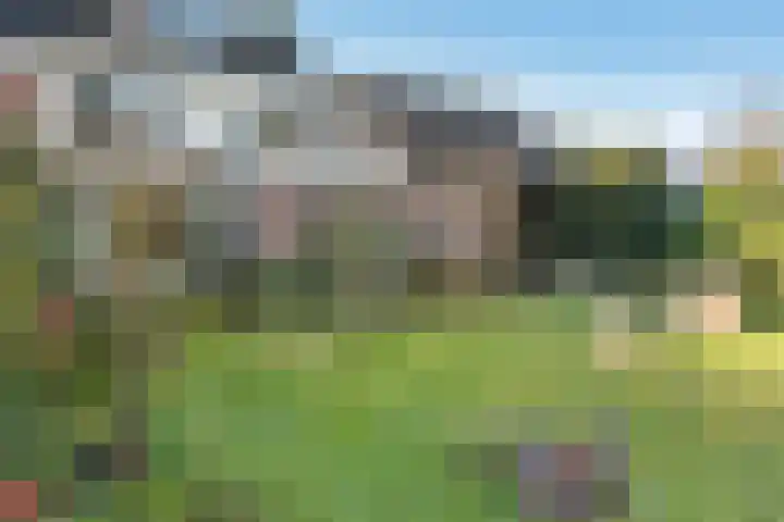 Duinkampen 1 Paterswolde thumbnail 50
