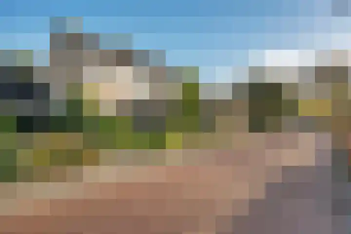 Duinkampen 1 Paterswolde thumbnail 52