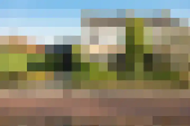 Duinkampen 1 Paterswolde thumbnail 53