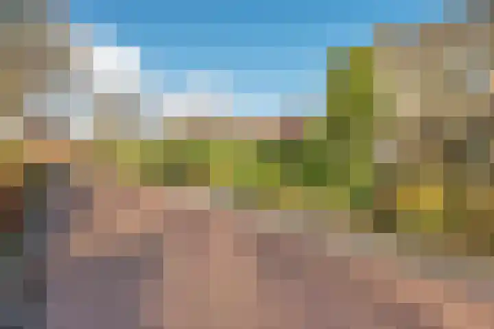 Duinkampen 1 Paterswolde thumbnail 54