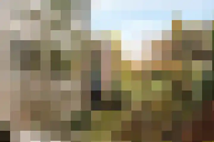 Duinkampen 1 Paterswolde thumbnail 55